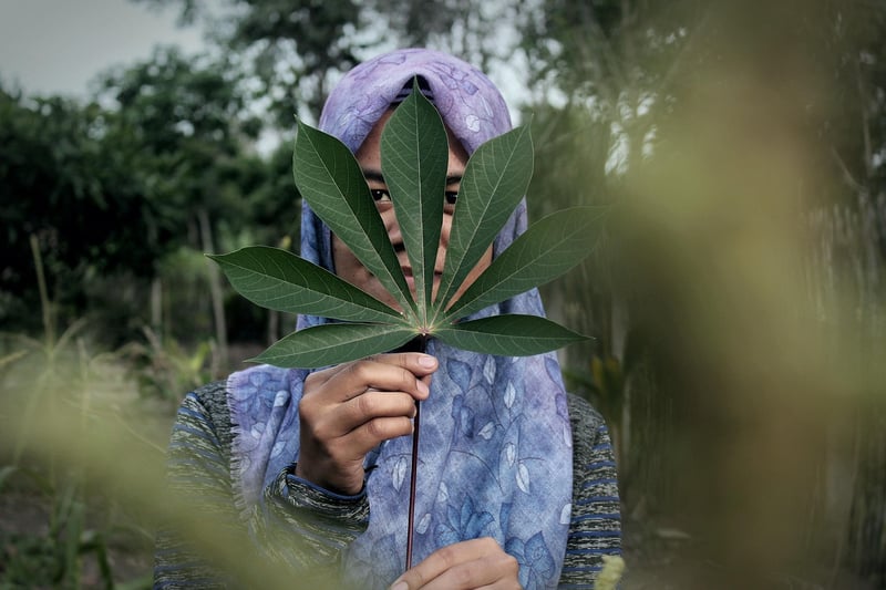Forest-inspired Veils